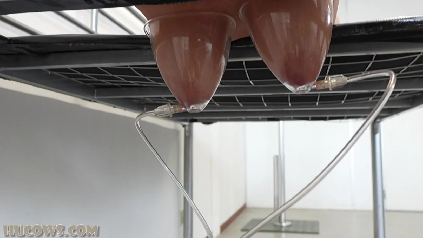 HuCows Darina Udder Stretching XXX